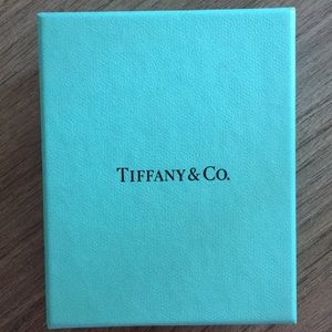 Tiffany &Co. Infinity Necklace